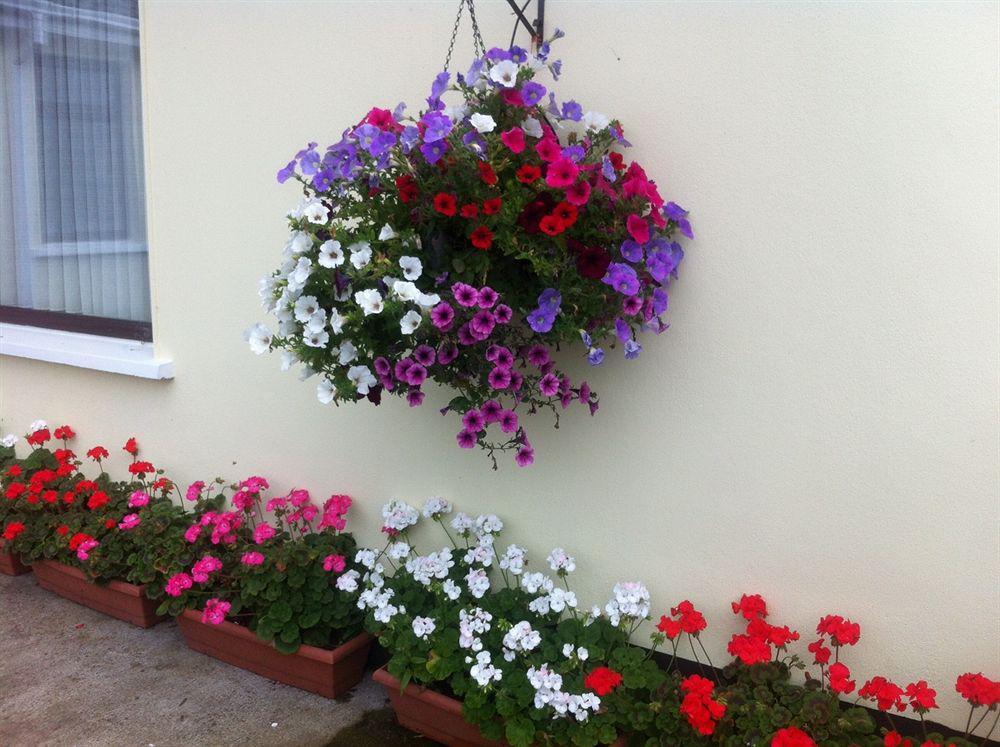 Ferienwohnung Hillview Self Catering Lusk Exterior foto