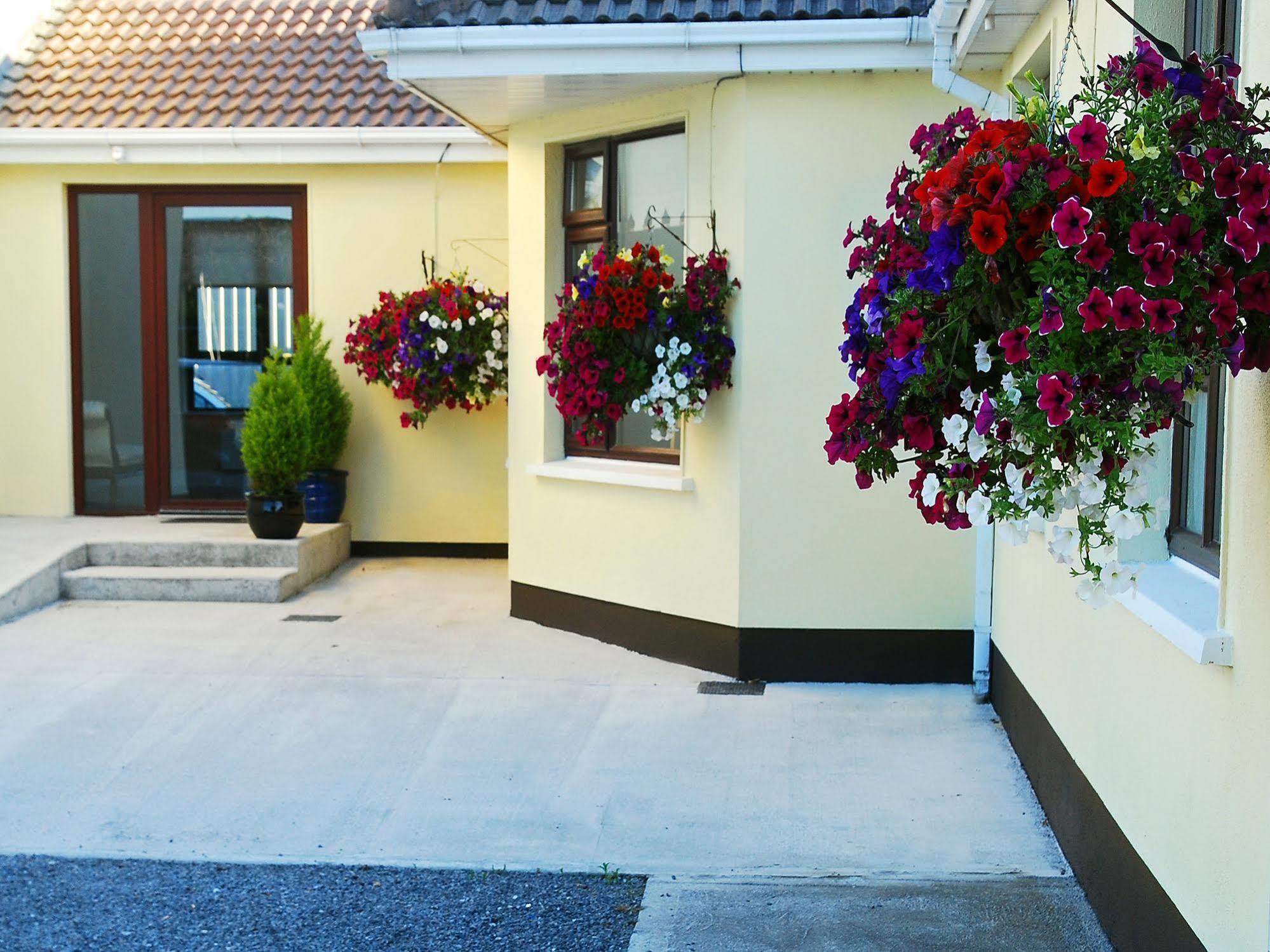 Ferienwohnung Hillview Self Catering Lusk Exterior foto